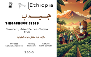 Yirgacheffe Gedeb