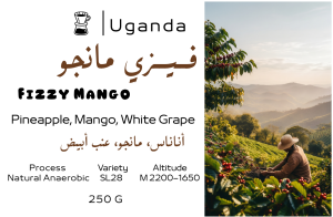 Fizzy Mango